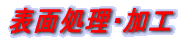 �\�ʏ����E���H